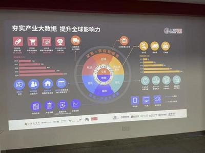 上?；ヂ摼W數據服務產業規劃啟示錄 湖北跟班干部的深刻感悟